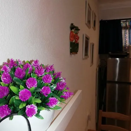 Apartamento Flamingos